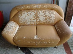 2166465.png 2166465.png